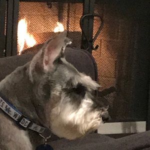 Meet your Posher, Tracey